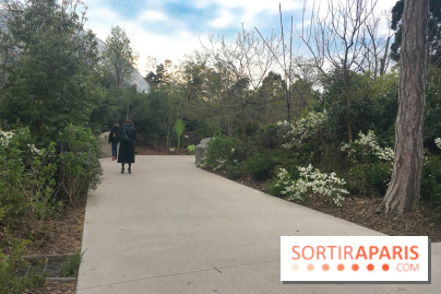 Parc Zoologique de Paris 2019