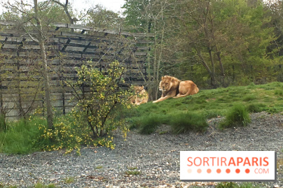 Parc Zoologique de Paris 2019