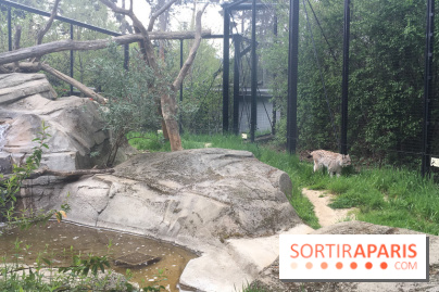 Parc Zoologique de Paris 2019