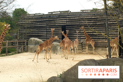 Parc Zoologique de Paris 2019