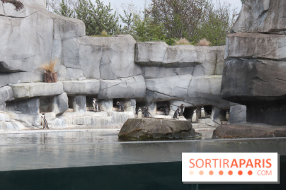 Parc Zoologique de Paris 2019