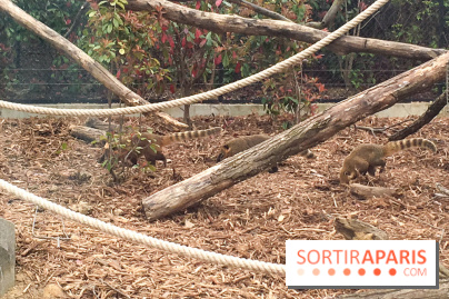 Parc Zoologique de Paris 2019