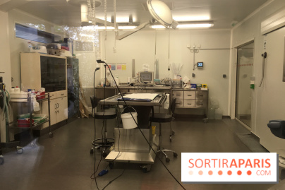 Parc Zoologique de Paris 2019