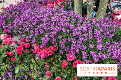 Earth Month à Disneyland Paris