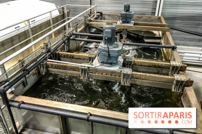 Earth Month à Disneyland Paris