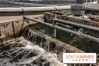 Earth Month à Disneyland Paris