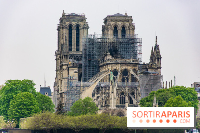Notre Dame de Paris, les photos des dégâts