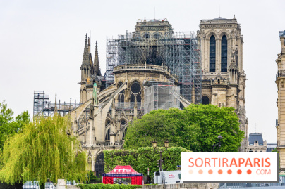 Notre Dame de Paris, les photos des dégâts