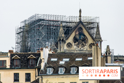 Notre Dame de Paris, les photos des dégâts