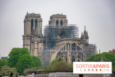 Notre Dame de Paris, les photos des dégâts