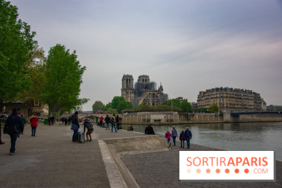Notre Dame de Paris, les photos des dégâts