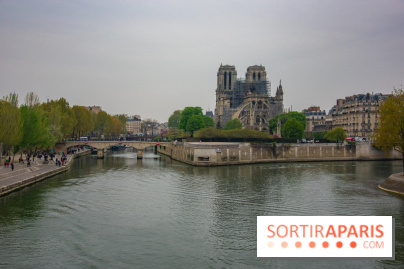 Notre Dame de Paris, les photos des dégâts