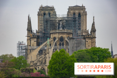 Notre Dame de Paris, les photos des dégâts