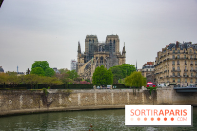 Notre Dame de Paris, les photos des dégâts