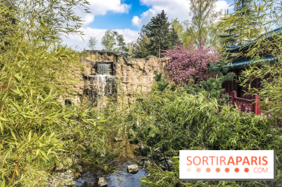 La Mer de Sable 2019, les photos