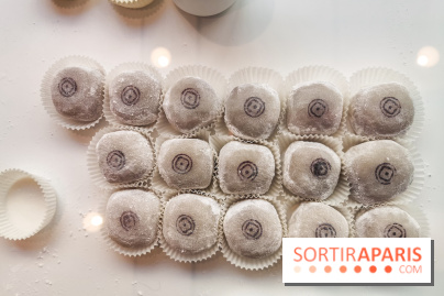 La Maison du Mochi, les photos