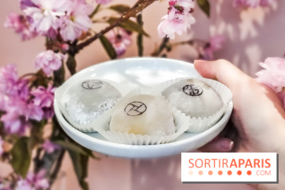 La Maison du Mochi, les photos