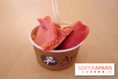 Amorino x Nina Ricci