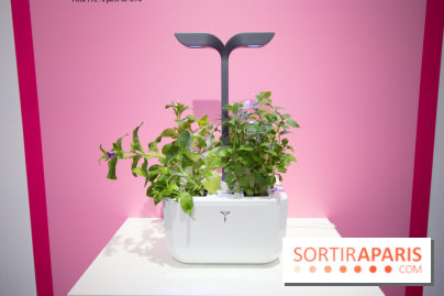 Foire de Paris 2019 : innovation