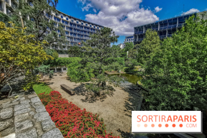 Run My City 2019, les photos