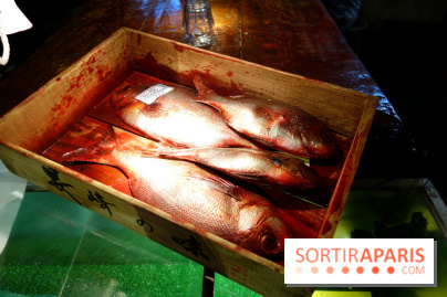 Kodawari Ramen Tsukiji à Paris, les photos