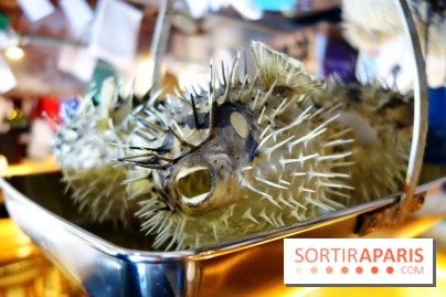 Kodawari Ramen Tsukiji à Paris, les photos