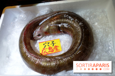 Kodawari Ramen Tsukiji à Paris, les photos