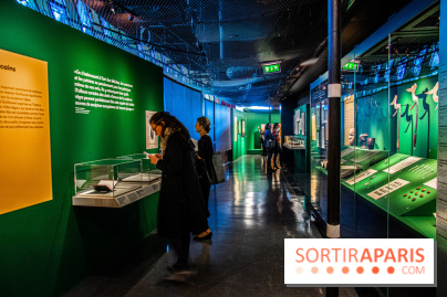 Félix Fénéon et les arts lointains, l'exposition au Musée du Quai Branly