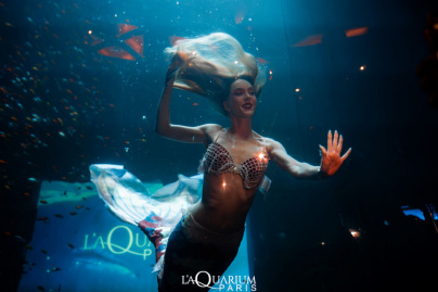 Halloween à l’Aquarium Club : une nuit de frissons avec le Show des sirènes