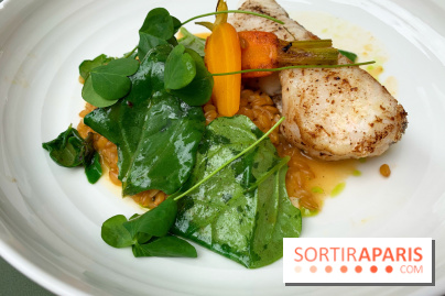 Le Bel Ordinaire, rive gauche 