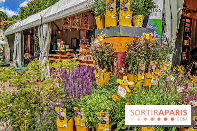 Jardins Jardin aux Tuileries 2019