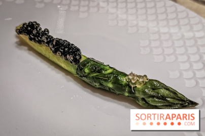 Atelier dégustation de Saké avec Xavier Thuizat au Crillon