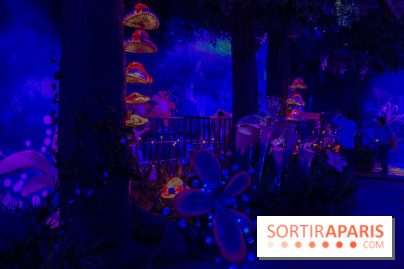 La Schtroumpf Expérience à Paris Expo Porte de Versailles : nos photos