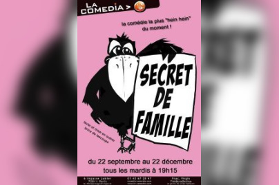 Secret de Famille, Spectacle, Théâtre, Paris, Comedia