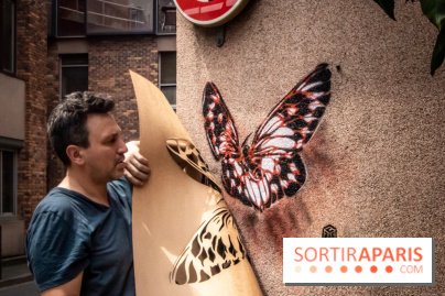 Les Papillons de C215