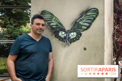 Les Papillons de C215