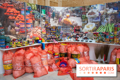 Prince.sse.s des Villes, l'exposition au Palais de Tokyo