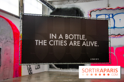 Prince.sse.s des Villes, l'exposition au Palais de Tokyo