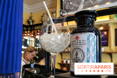 Thé glacé et éclair Cactus Bleu de Mariage Frères, les photos - flacon