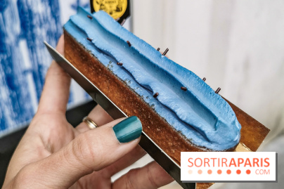 Thé glacé et éclair Cactus Bleu de Mariage Frères, les photos