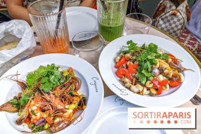 Cézanne, la brasserie provençale du 8e