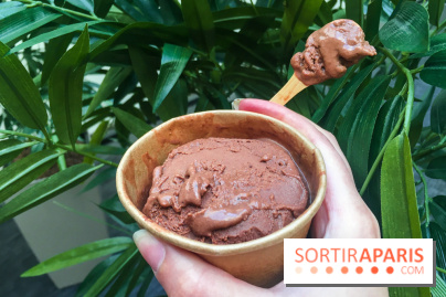 Les glaces au chocolat de Ducasse 