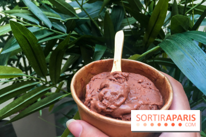 Les glaces au chocolat de Ducasse 