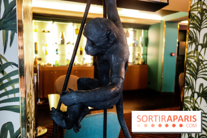 Gloster Bar, les photos