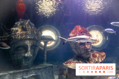 Les petits déjeuners avec les manchots de l'aquarium Sea Life