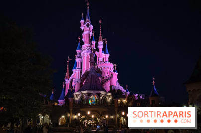 Visuels Disneyland Paris château nuit