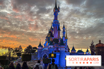 Visuels Disneyland Paris - château coucher de soleil