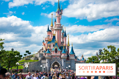 Visuels Disneyland Paris château