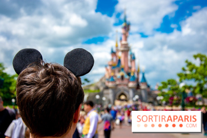 Visuels Disneyland Paris château