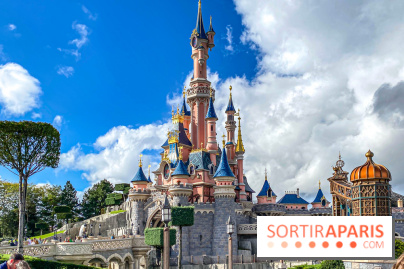 Visuels Disneyland Paris château